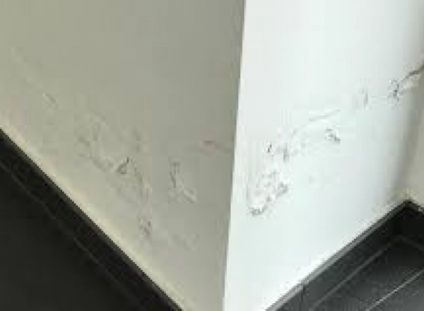 Problèmes d'humidité dans la maison : causes fréquentes et solutions de rénovation