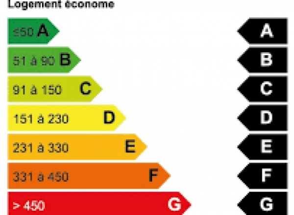 Passoires thermiques : quelles obligations pour les propriétaires en 2025 et comment y faire face ?